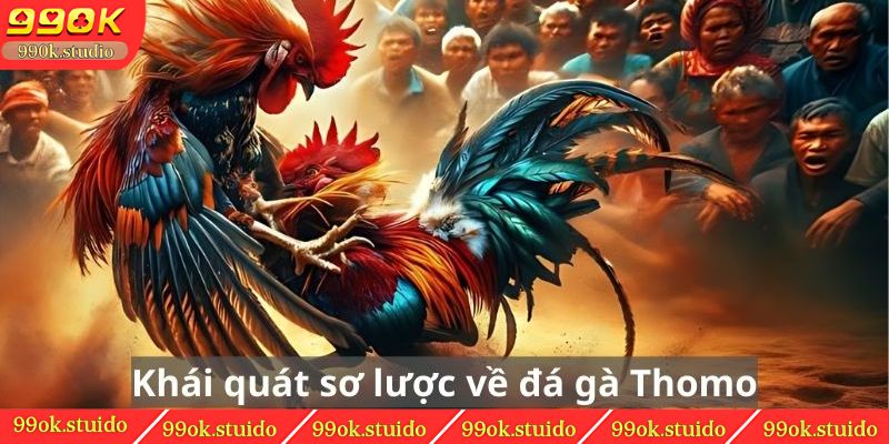 Khái quát sơ lược về đá gà Thomo